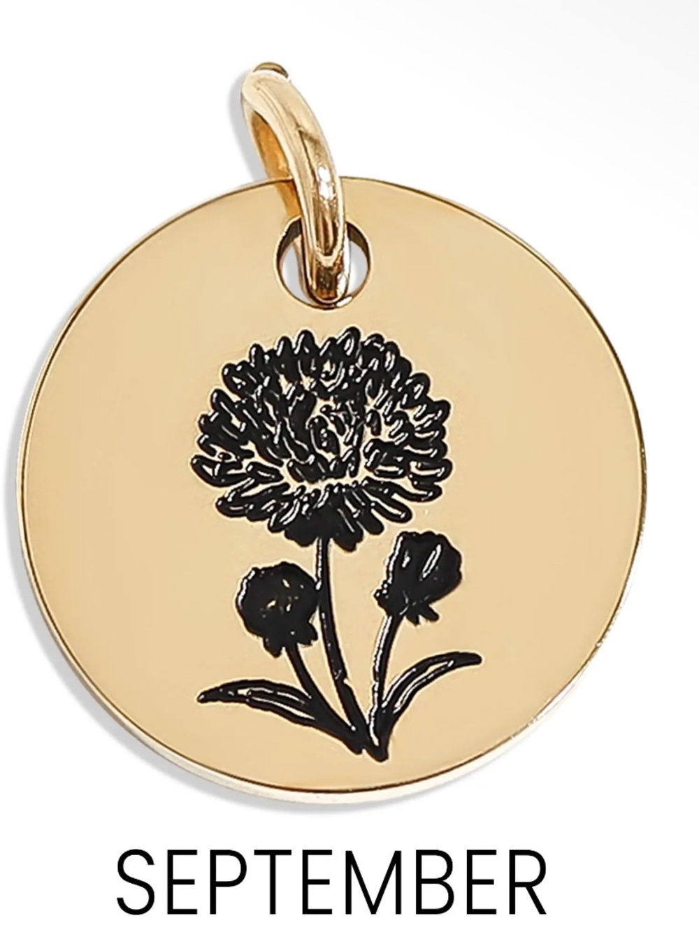 18 K Gold PVD Gold Tone September Birthflower Pendant Charm